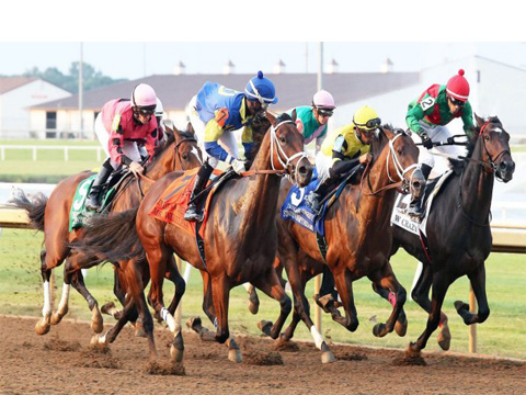 WATCH THE 150 KENTUCKY DERBY AT THE SPORTS ROOM