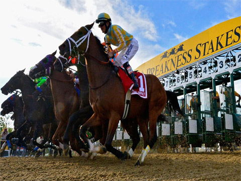 THE 149TH RUNNING OF THE PREAKNESS STAKES